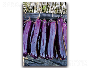 �ϼt�̰�-���ӷN��-�������r(n��ng)�I(y��)