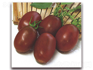 ��õ��-���ѷN��-����