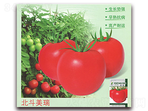 ��������-���ѷN��-����