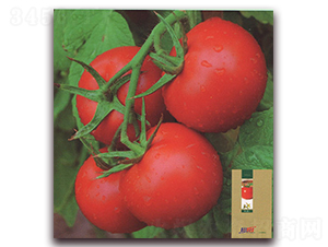 �PԽ-���ѷN��-����