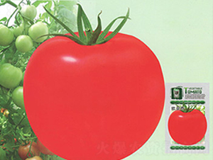 �W����-���ѷN��-����