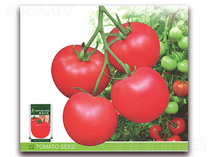 �W��318-���ѷN��-����