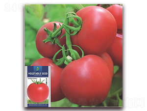 ��������-���ѷN��-����