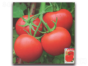 ����03-���ѷN��-����