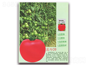 ����09-���ѷN��-����