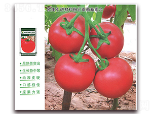 ����288-���ѷN��-����