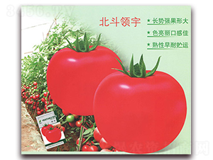 �����I(l��ng)��-���ѷN��-����