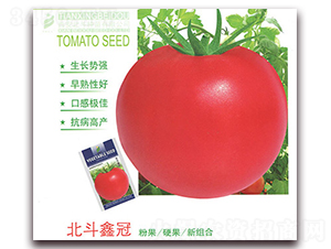 �����ι�-���ѷN��-����