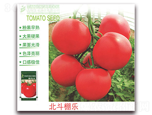 �����-���ѷN��-����