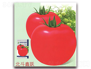 �������S-���ѷN��-����