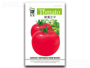 �W��319-���ѷN��-����