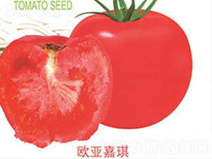 �W������-���ѷN��-����