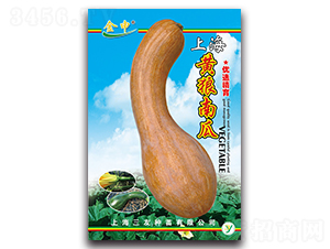 �S���Ϲ�-�ϹϷN��-����