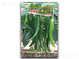 ����2̖-�����N��-����