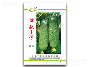 ����1̖-�S�ϷN��-����