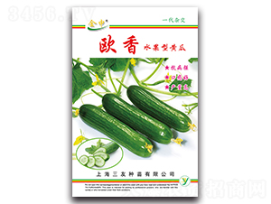 �W��ˮ���S��-�S�ϷN��-����