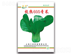 ����605���-��˷N��-����