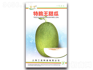 �ش������-��ϷN��-����