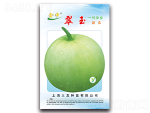 ����-��ϷN��-����