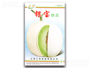 �y�����-��ϷN��-����