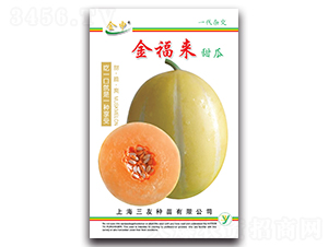 �𸣁�(l��i)���-��ϷN��-����