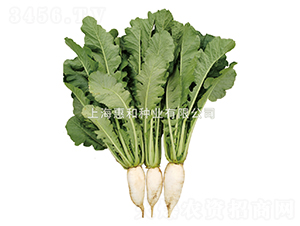 �f�G-�}���N��-�ݺͷN�I(y��)