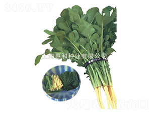 ����-�}���N��-�ݺͷN�I(y��)