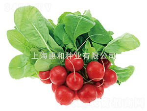 �t��-�}���N��-�ݺͷN�I(y��)