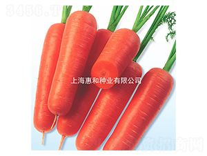 ����-���}���N��-�ݺͷN�I(y��)