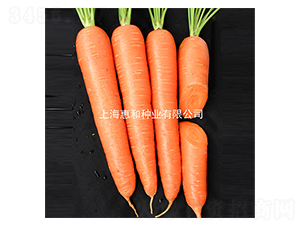 ϲ�S��̖-���}���N��-�ݺͷN�I(y��)