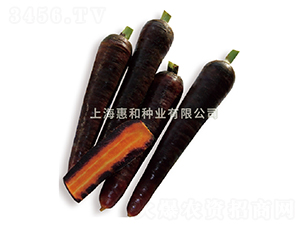 ����-���}���N��-�ݺͷN�I(y��)