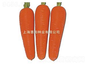 �t��238-���}���N��-�ݺͷN�I(y��)