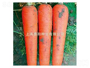 �t��601-���}���N��-�ݺͷN�I(y��)