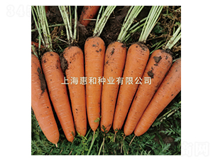 ���ρ�907-���}���N��-�ݺͷN�I(y��)