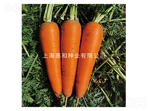 ������-���}���N��-�ݺͷN�I(y��)