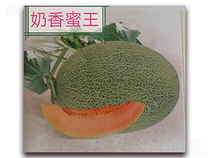 ��������-��ϷN��-����N�I(y��)