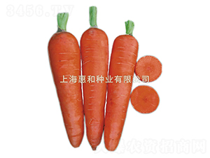 ����˹-���}���N��-�ݺͷN�I(y��)