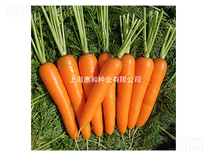 �{��˹-���}���N��-�ݺͷN�I(y��)