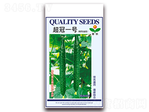 ����һ̖-�S�ϷN��-����N�I(y��)