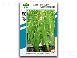 ����-�����N��-����N�I(y��)