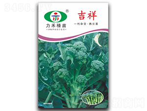 ����-���m���N��-�����r�I(y��)