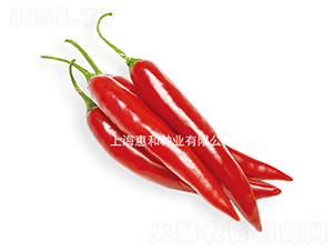 ����-�����N��-�ݺͷN�I(y��)