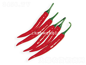 �t��-�����N��-�ݺͷN�I(y��)