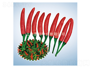 ����902-�����N��-�ݺͷN�I(y��)