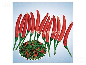 ����901-�����N��-�ݺͷN�I(y��)