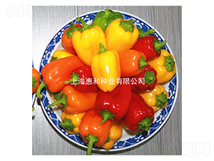 ����t-�𽷷N��-�ݺͷN�I(y��)