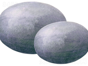 ����-���ϷN��-ɽ�|��Դ