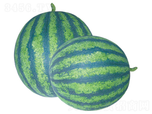 �ϵ�-���ϷN��-ɽ�|��Դ