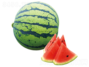 �A��һ̖-���ϷN��-ɽ�|��Դ