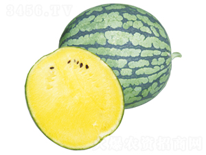 ����-���ϷN��-ɽ�|��Դ